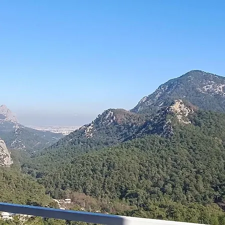 Yesil, Mavi Ve *